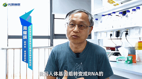 1.gif 1.gif